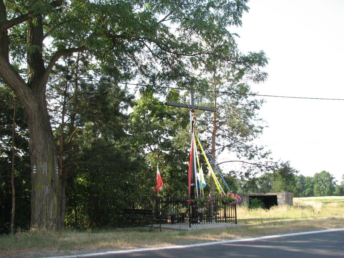 فيلا Strefa Kampinos Brochów المظهر الخارجي الصورة