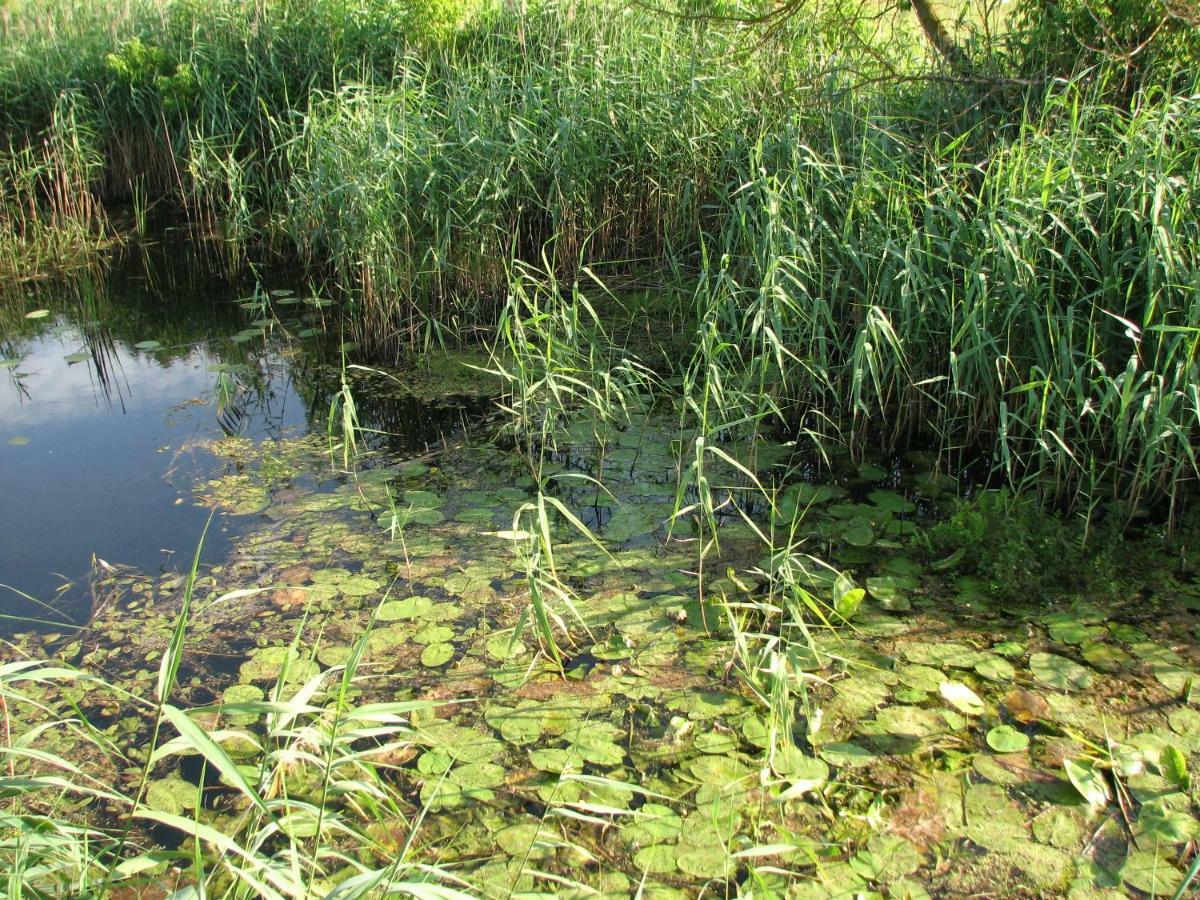 فيلا Strefa Kampinos Brochów المظهر الخارجي الصورة