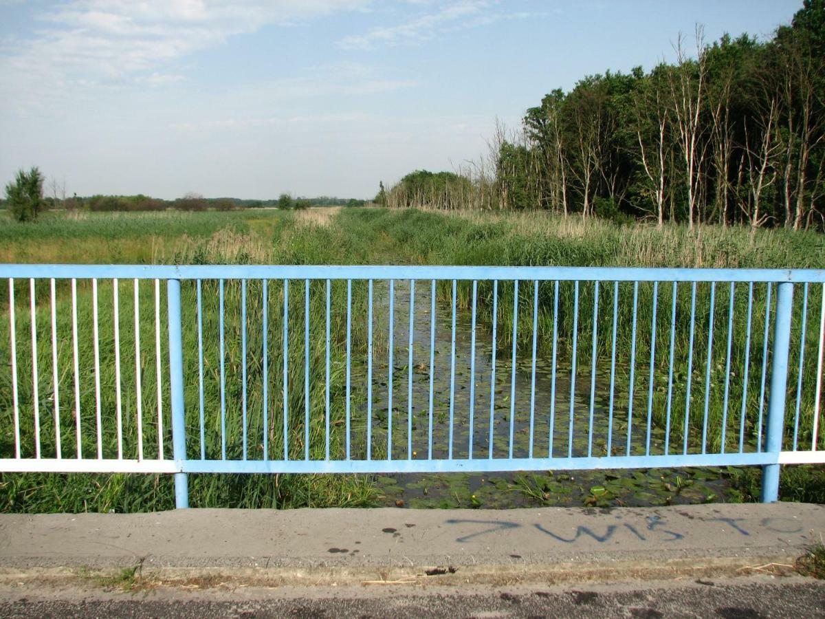 فيلا Strefa Kampinos Brochów المظهر الخارجي الصورة