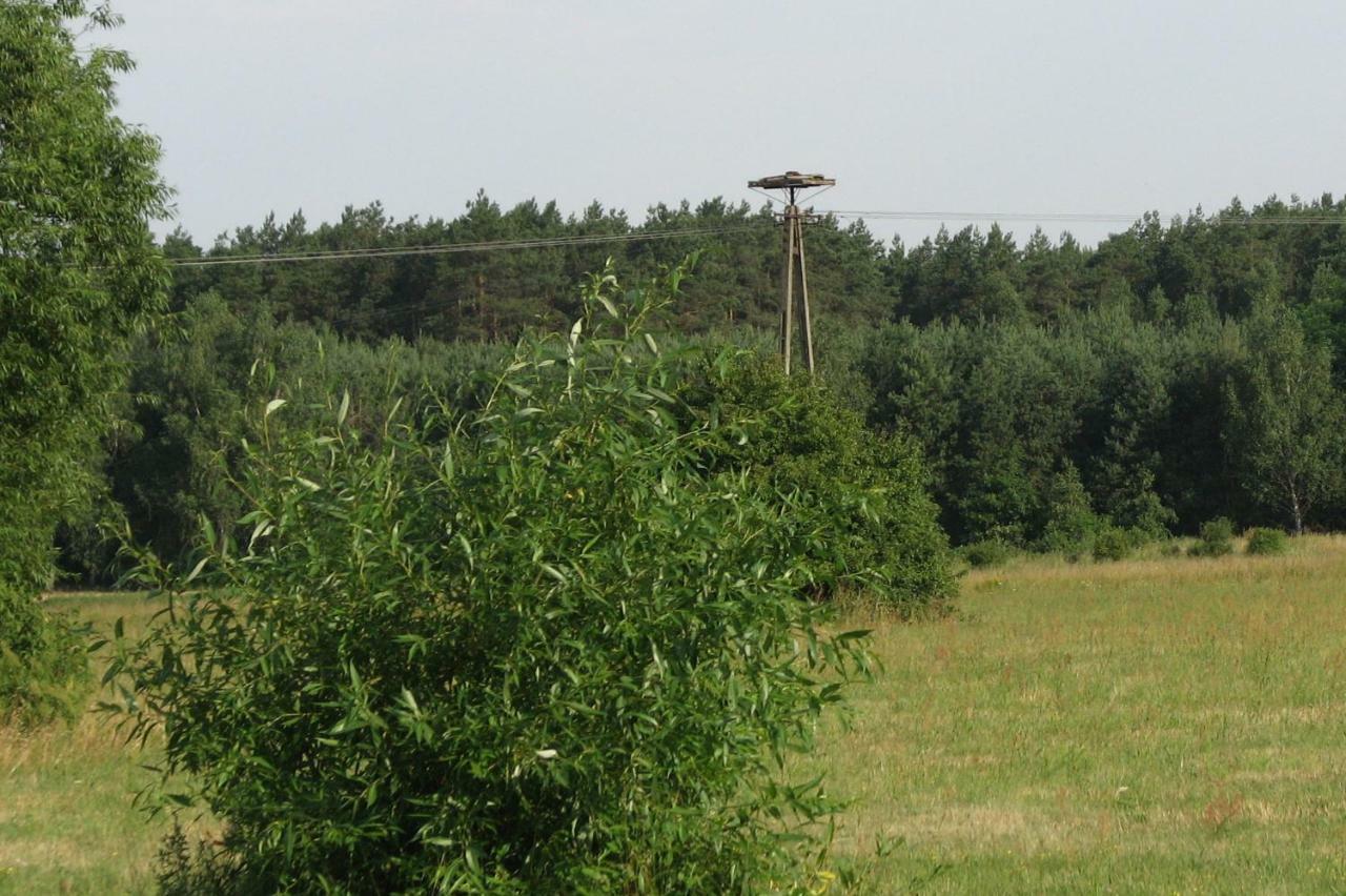 فيلا Strefa Kampinos Brochów المظهر الخارجي الصورة