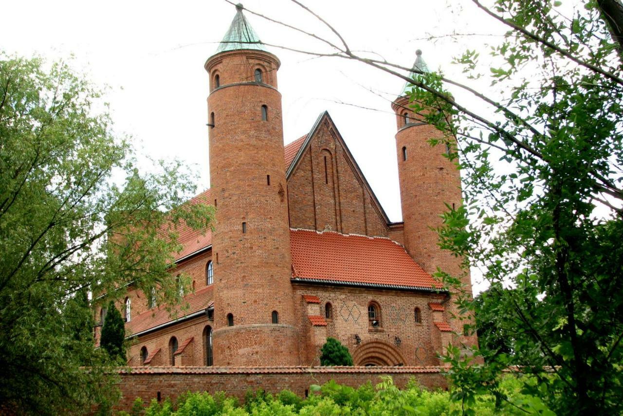 فيلا Strefa Kampinos Brochów المظهر الخارجي الصورة